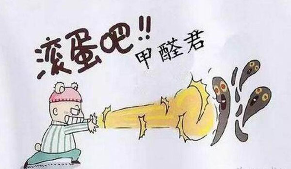 清除甲醛公司哪家好 清除甲醛公司哪家好