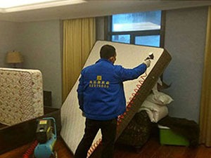 夜夜與螨蟲(chóng)相伴，對您和家人的身休會(huì )有哪些危害？怎樣清除螨蟲(chóng)？